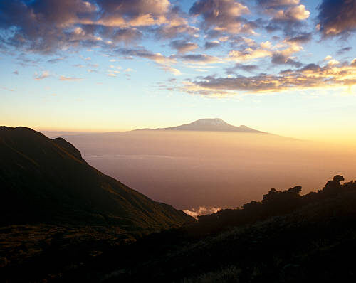 kilimanjaro magic adventures (10)