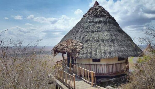 kilimanjaro magic adventures (24)