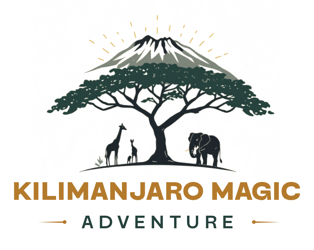 Kilimanjaro Logo