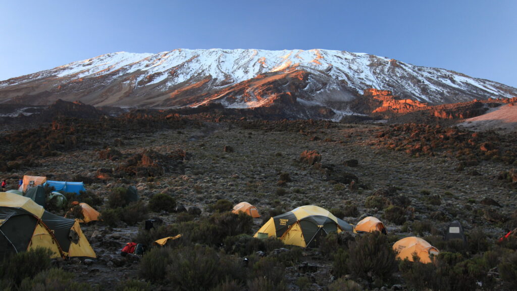 Buffalo Pofu Camp