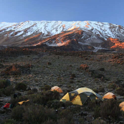 Buffalo Pofu Camp