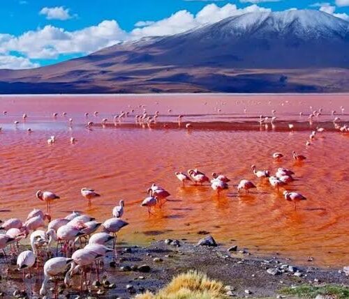 Lake Natron