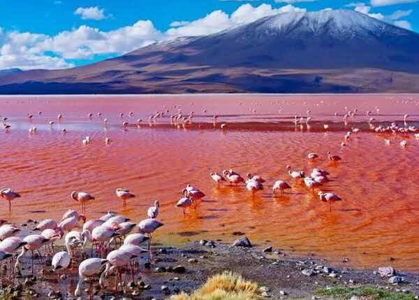 Lake Natron