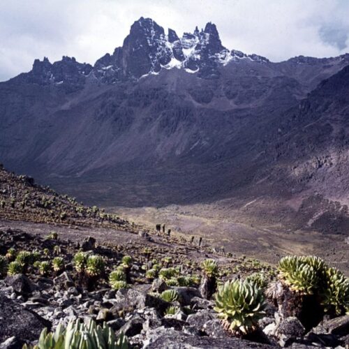 Mackinders Valley