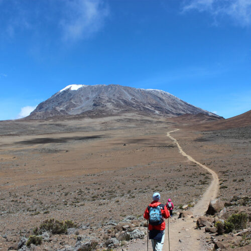 Marangu route Kilimanjaro