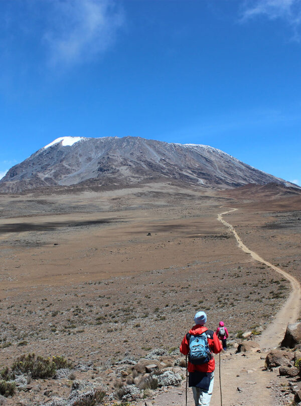 Marangu route Kilimanjaro