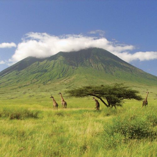Mount Ol Doinyo Lengai tour