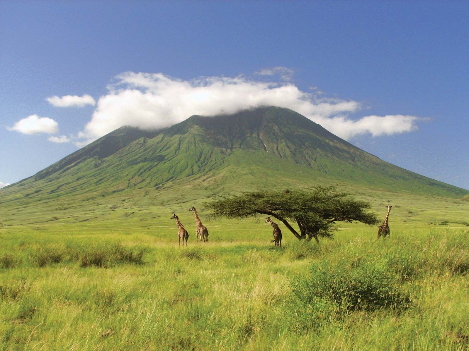 Mount Ol Doinyo Lengai tour