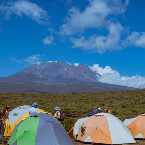 Mti Mkubwa Camp
