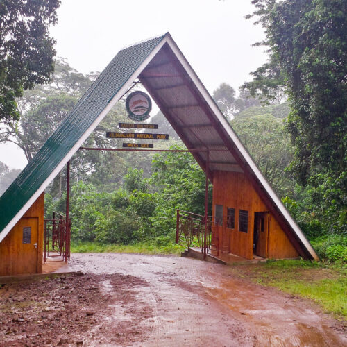 Mweka Gate