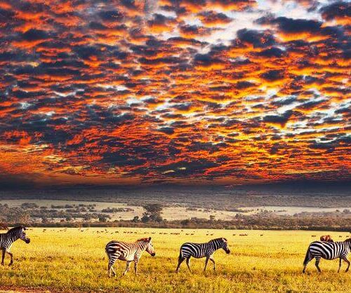 Serengeti Plains