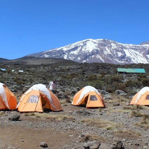 Simba Camp