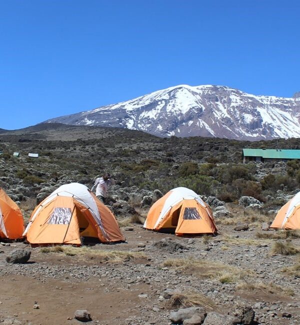 Simba Camp