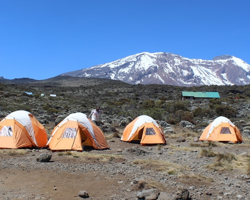 Simba Camp