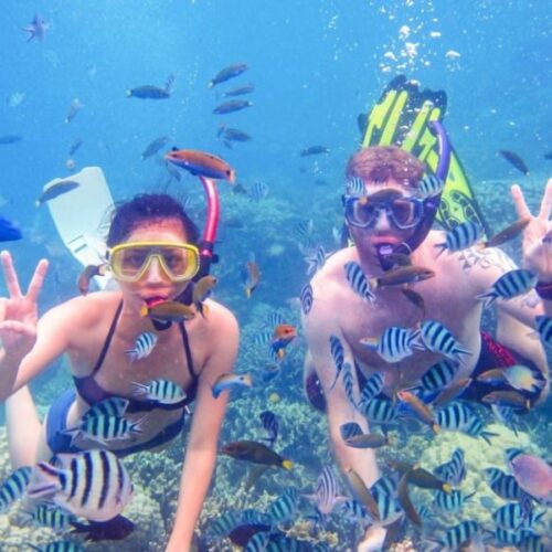 Snorkeling