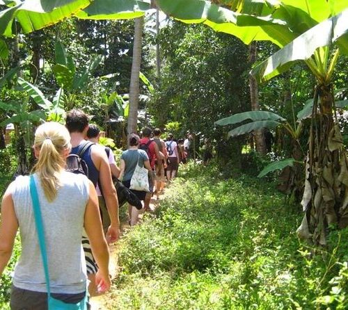 Spice Farm