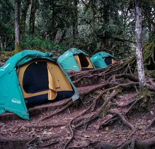 Umbwe Cave Camp tents