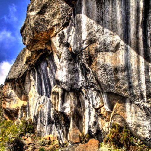 Zebra Rocks