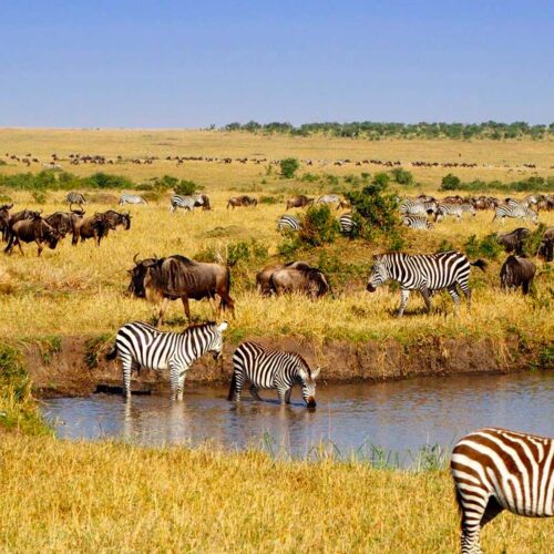 game viewing in Ngorongoro
