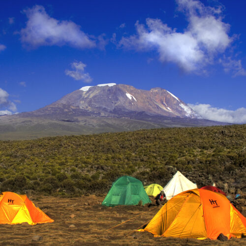 shira 1 camp