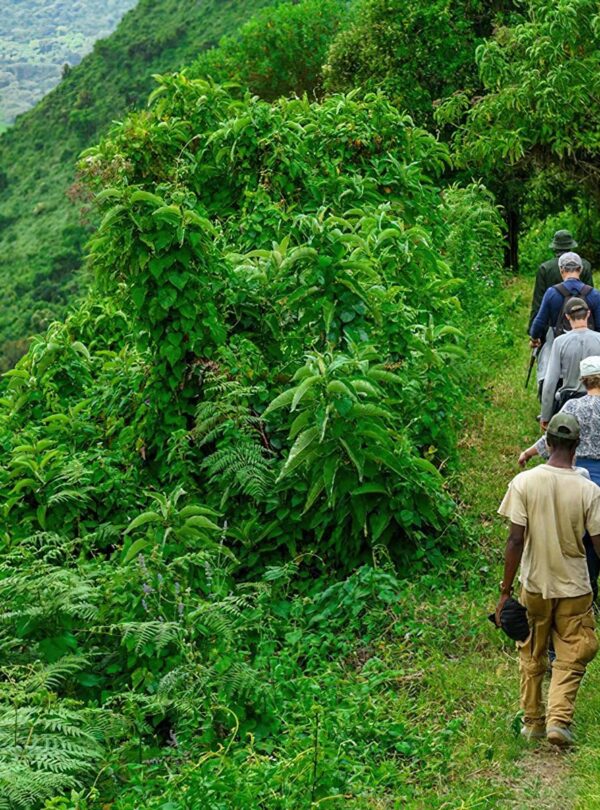 walking to Embakai crater
