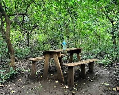 Forest picnic rest area