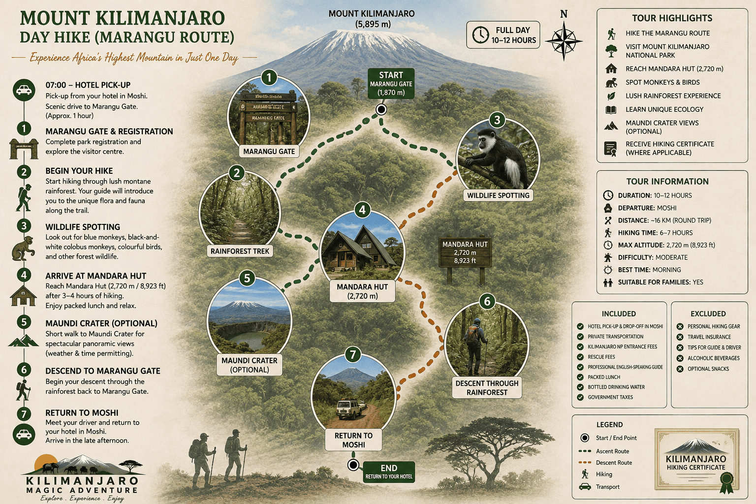 Mount Kilimanjaro Day Hike (Marangu Route)