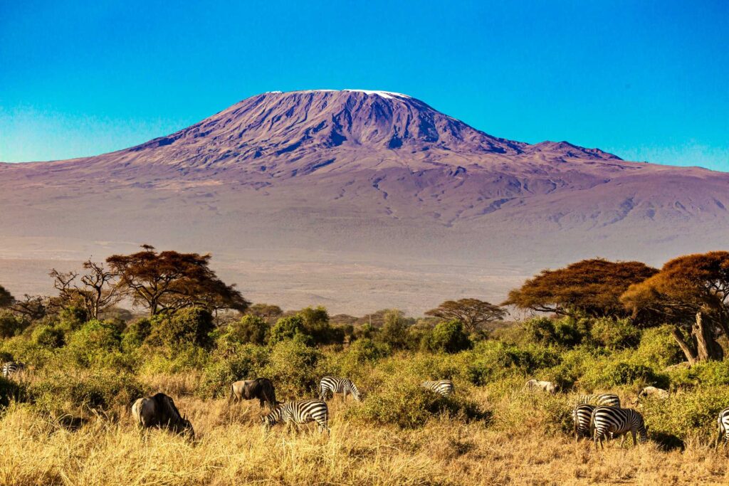 Mount Kilimanjaro Foothills