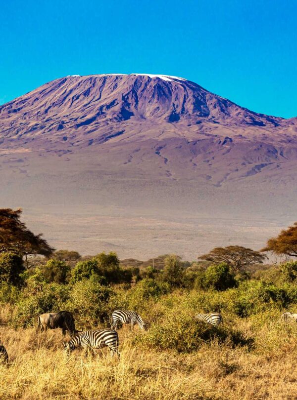 Mount Kilimanjaro Foothills