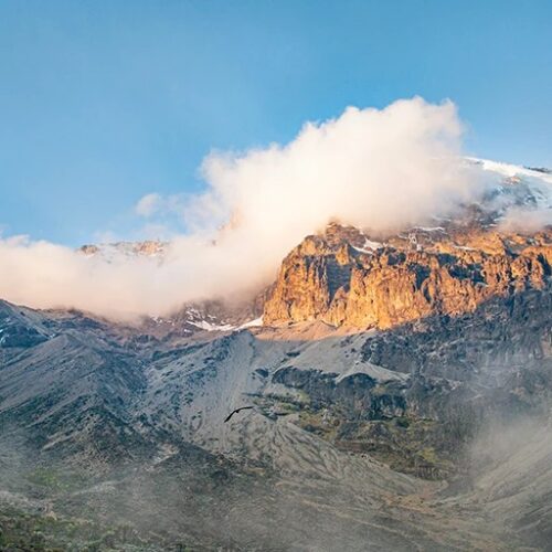 Mount Kilimanjaro Viewpoint