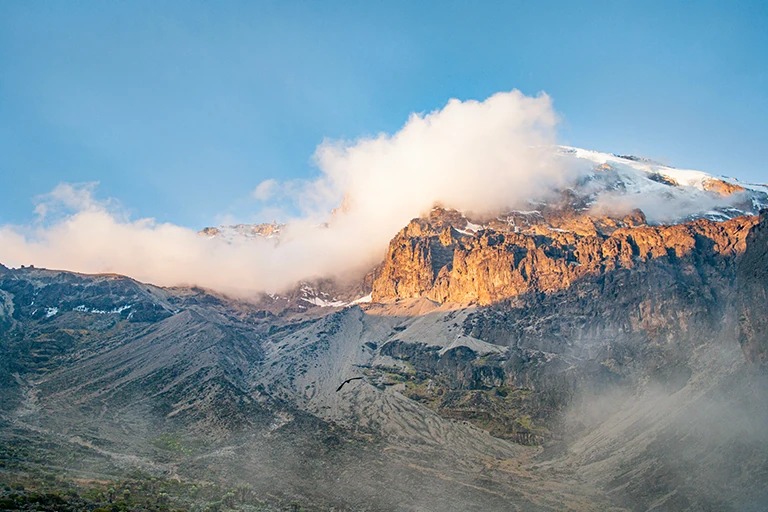 Mount Kilimanjaro Viewpoint