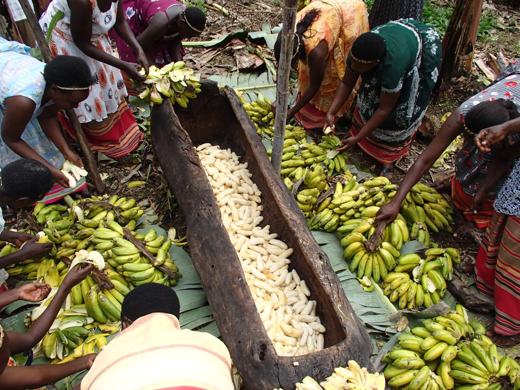 Traditional Banana Beer Preparation